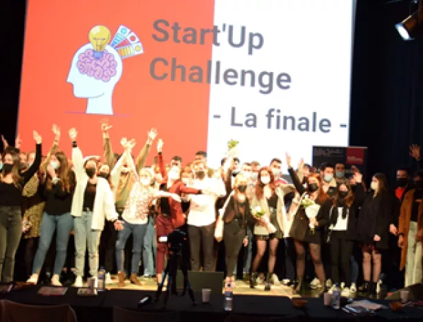 Startup-challenge-vignette