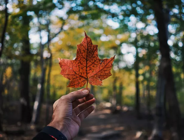 Partez-au-Canada-après-votre-MBA-–-Témoignage